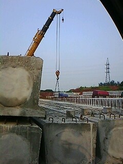 IMG1593A.jpg