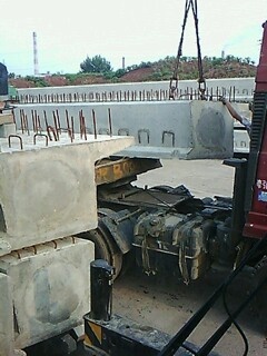 IMG1594A.jpg