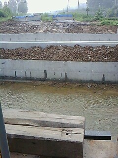 IMG1608A.jpg