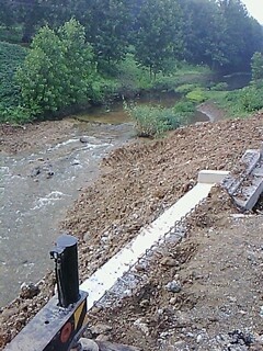IMG1611A.jpg