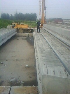 IMG1606A.jpg