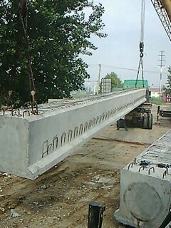 IMG1621A.jpg