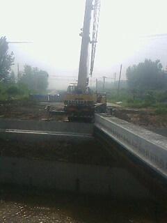 IMG1627A.jpg