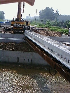 IMG1629A.jpg