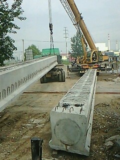 IMG1623A.jpg