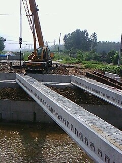IMG1640A.jpg