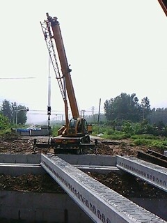 IMG1641A.jpg