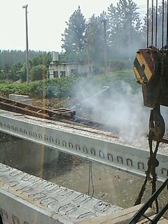 IMG1642A.jpg