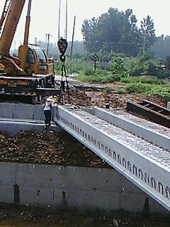 IMG1649A.jpg