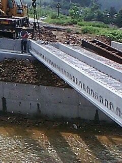 IMG1650A.jpg