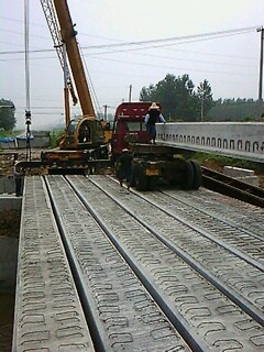 IMG1651A.jpg