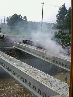 IMG1643A.jpg