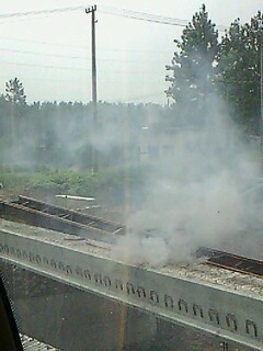 IMG1645A.jpg