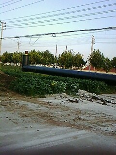IMG1657A.jpg