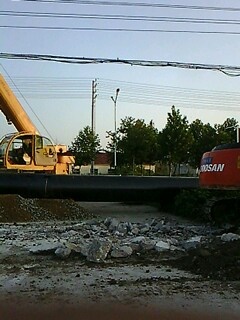 IMG1660A.jpg