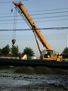 IMG1656A.jpg