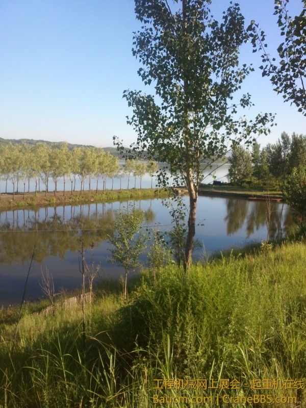 2013-07-31 07.00.09.jpg