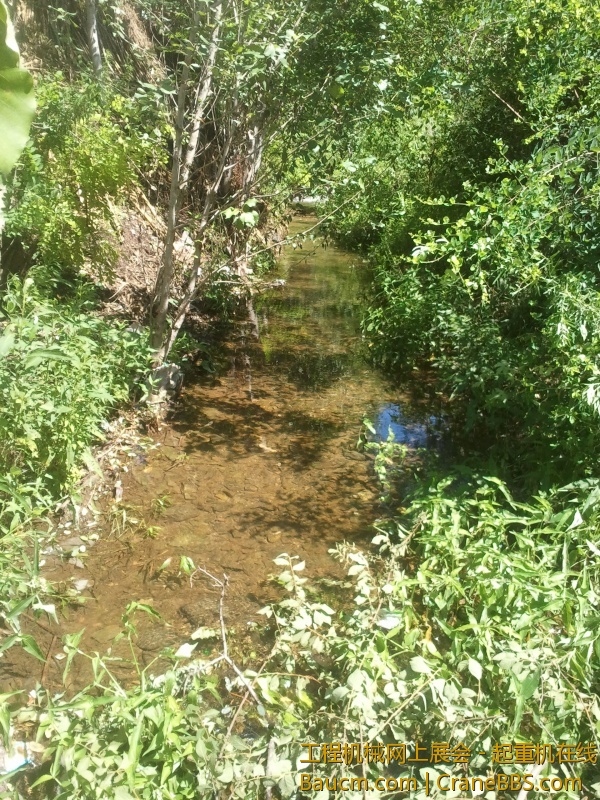 2013-07-31 13.20.46.jpg