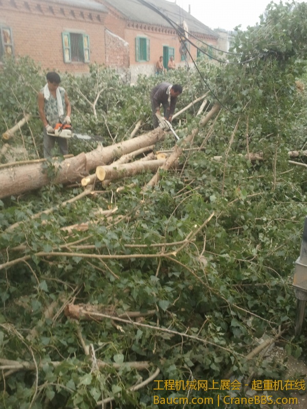 2013-08-07 12.57.10.jpg