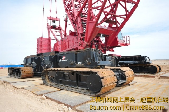 CUI_4853.jpg