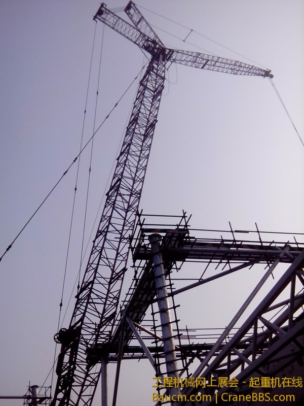 IMG_20130713_074900.jpg
