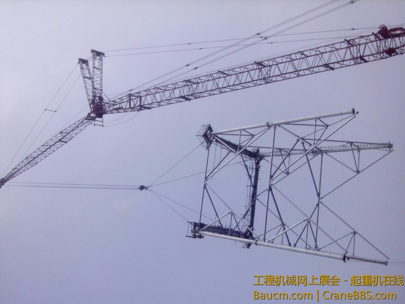 IMG_20130714_101023.jpg