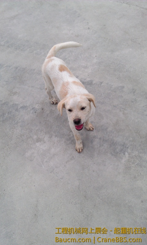 IMAG0268.jpg