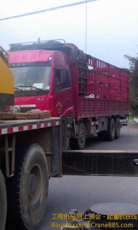 IMAG0097.jpg
