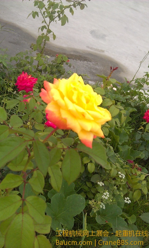 IMAG0307.jpg