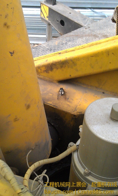 IMAG0369.jpg