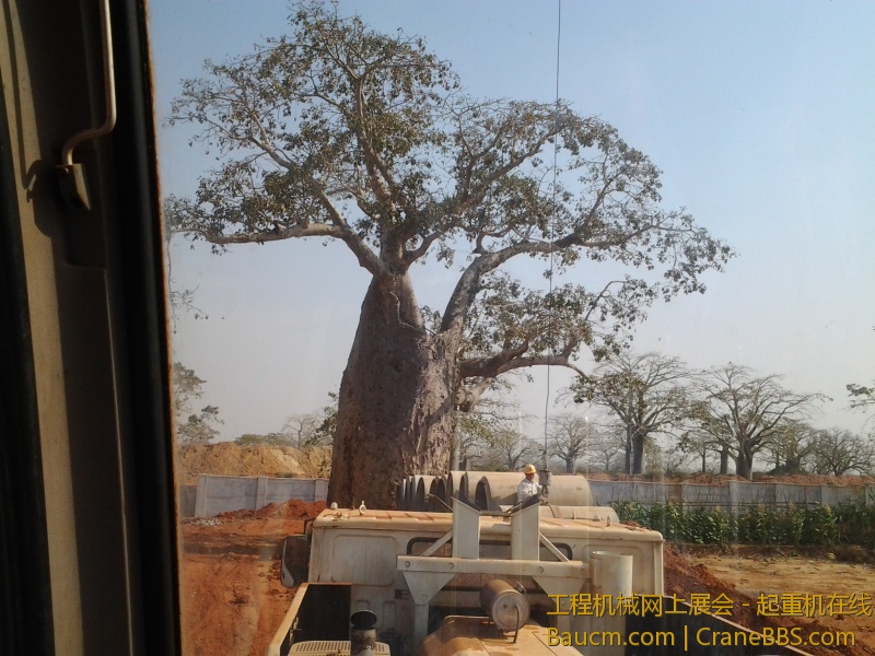 2013-05-26 14.40.43.jpg