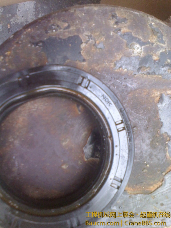 IMG0817160201.jpg