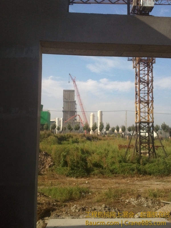 2013-08-19 07.55.20.jpg