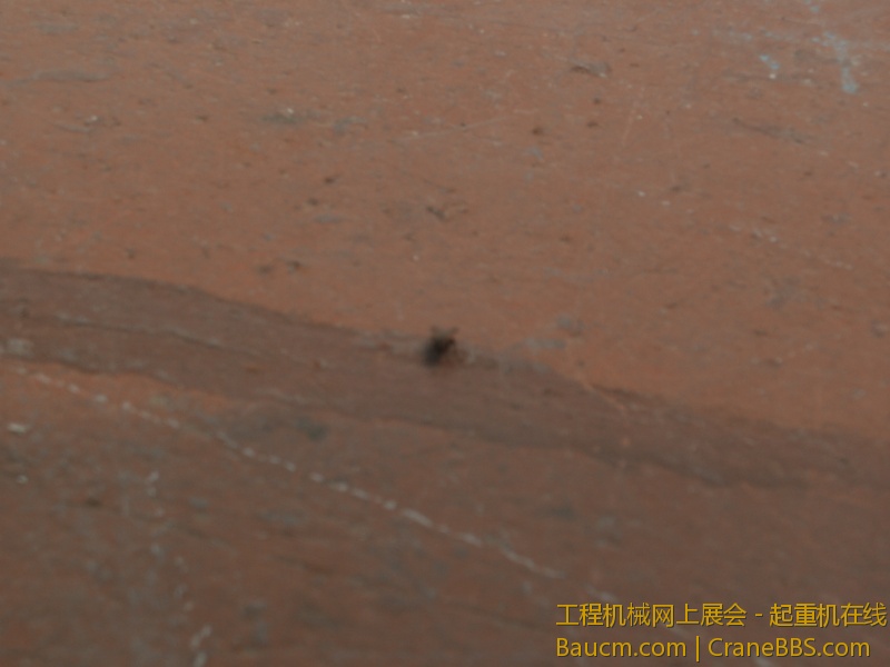 这玩意比华尔街还TM烦人！！！不对，它没华尔街烦人…………