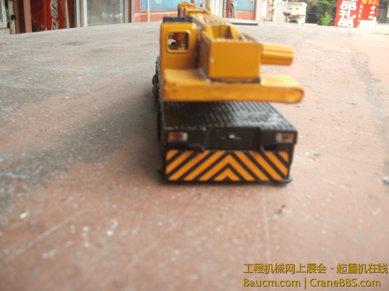 来看看菊花…………