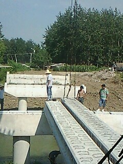 IMG1701A.jpg