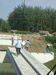 IMG1703A.jpg
