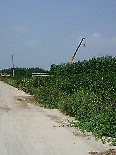 IMG1717A.jpg