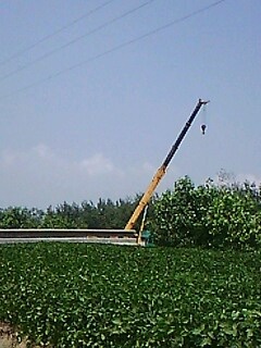 IMG1718A.jpg