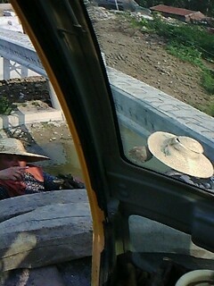 IMG1729A.jpg