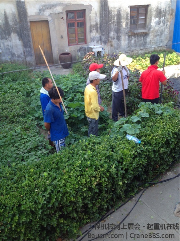 IMG_3670_旋转.jpg
