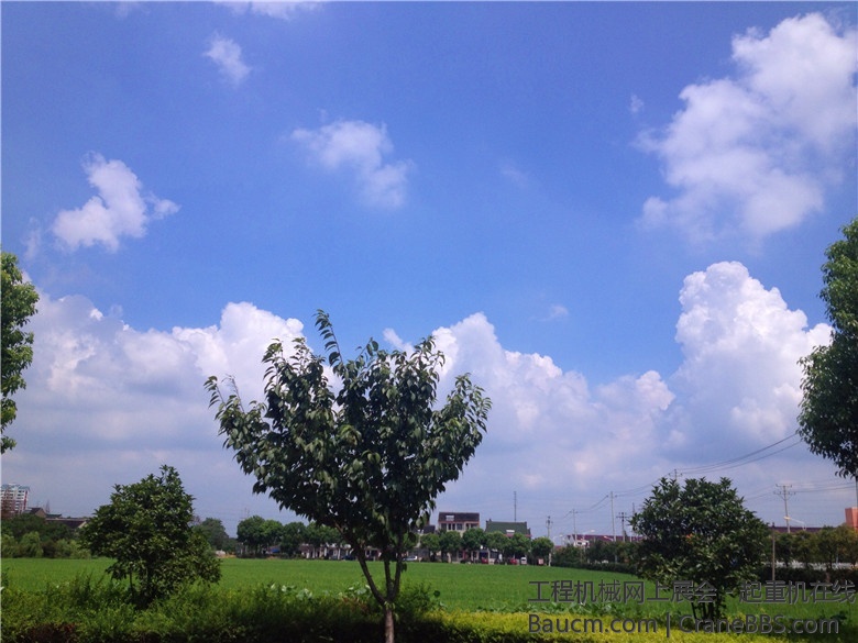 IMG_4336_旋转.jpg