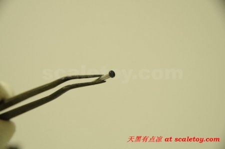 24450__450x_th13062566.jpg