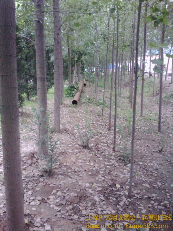 IMG_20130710_084049.jpg