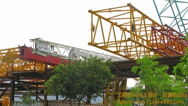 2012032830_G.jpg