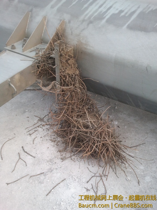 2013-07-08 16.36.49.jpg