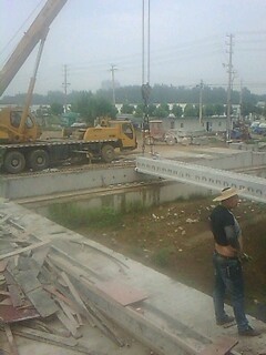 IMG1405A.jpg