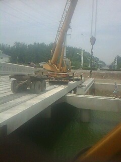 IMG1395A.jpg