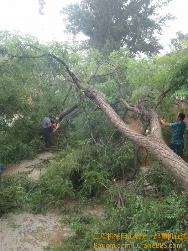 2013-07-10 10.48.03.jpg