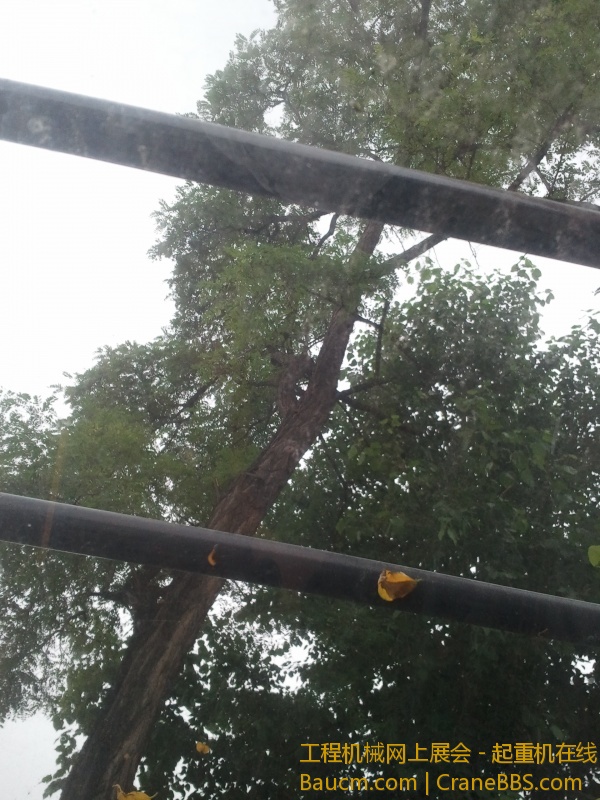 2013-07-10 11.01.44.jpg